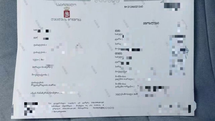 格鲁吉亚试管